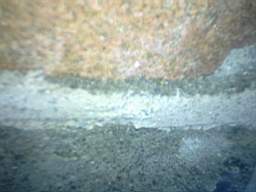 millstreet 11020.jpg